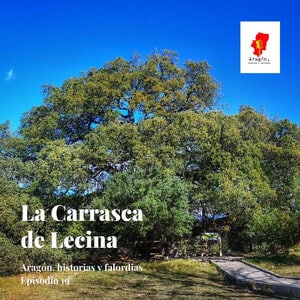 19. La Carrasca de Lecina