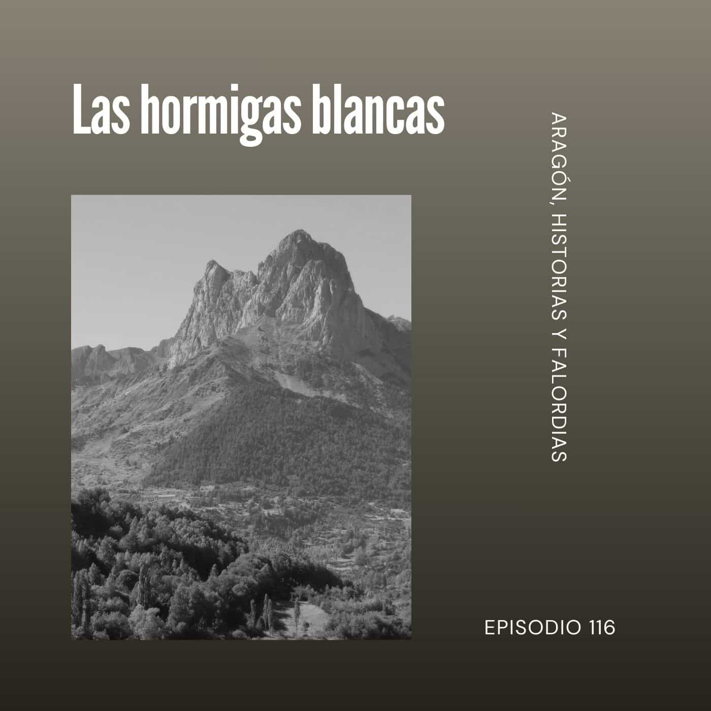 116. La leyenda de las hormigas blancas